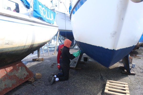 Antifouling
