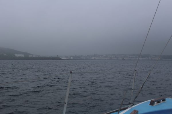 Douglas appearing in the fog