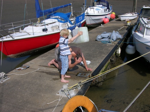 Skipper maintenance