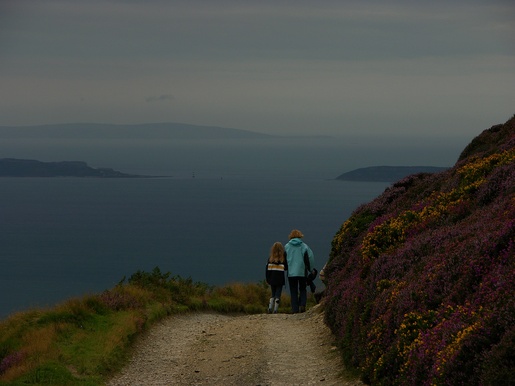 View on Puffin and the Anglesey North Coast