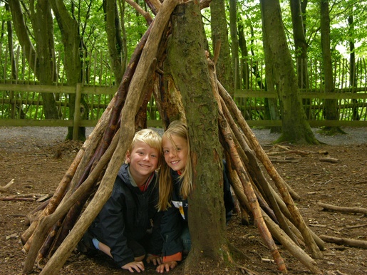 Den building