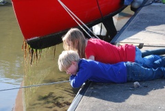 Wating for welly tide level